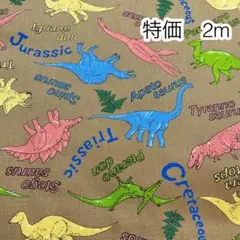 ラスト2点 SALE 2m 恐竜 ブラウン オックス