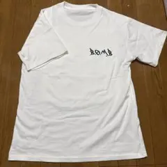 Item thumbnail for item 87fd44c8-ba3d-410b-badd-3dcdf8c5813e