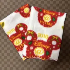 Disney 2010 フリースタオル　ブランケット　ひざ掛け　２枚セット
