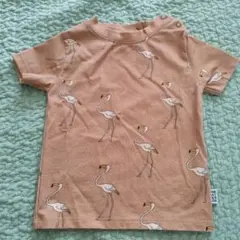 ワンディパレード　Tシャツ　3-6m