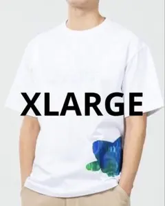 XLARGE 深堀隆介　コラボ　金魚　Tシャツ ホワイト　S