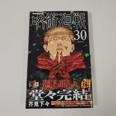 呪術廻戦 30