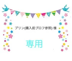 プリン(購入前ブロフ参照) 様　専用