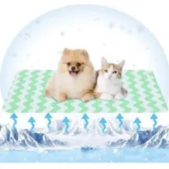 Item thumbnail for item 721d83b9-5019-4da9-ab14-dc028c0bef65