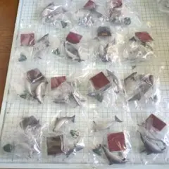 ネイチャーテクニカラー　小笠原　特装版　ミナミハンドウイルカ　15個セット