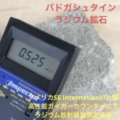 バドガシュタイン鉱石 550g オーストリア産ラジウム鉱石 自宅温泉