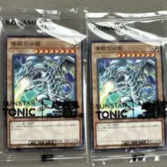 新品未使用　ブルーアイズホワイトドラゴン　遊戯王カード