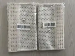 Item thumbnail for item e10fe67a-3713-45f0-aa2e-e1a947c147aa