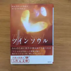 【エンリケ・バリオス   初版❗️】　ツインソウル  地球アップリフト 2025年最新】エンリケ・バリオス ツインソウルの人気アイテム