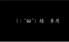 （；^ω^）様　専用