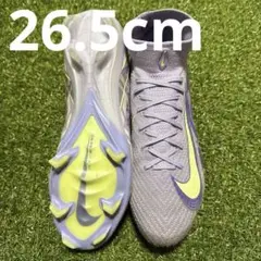 Item thumbnail for item 1eabe77d-9b61-4f38-b08f-1030d1ab0506