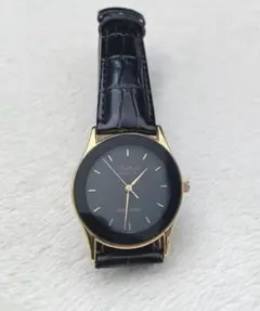 シチズン CITIZEN ファルコン Falcon 2035