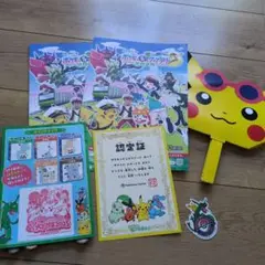 ポケモン大冒険2025 　ビンゴラリー