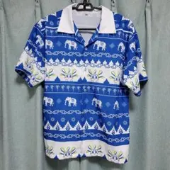 Item thumbnail for item afa2c447-c8d9-49cd-b72b-0671ad6f3584