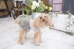 Item thumbnail for item c30a54b7-4ccd-4697-beb9-914942e5de4a