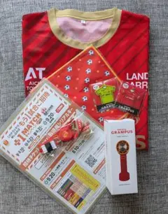 名古屋グランパス 鯱の大祭典 ユニフォーム ハンディファン 他オマケ多数①