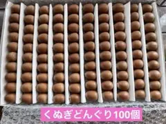 どんぐり　くぬぎどんぐり100個 どんぐりアートに