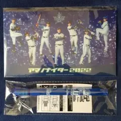 横浜DeNAベイスターズ☆マスクケースu0026ペンライト