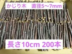 Item thumbnail for item b59039f4-ed93-400d-b398-d6b7af193976