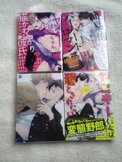 BL本 まとめ売り ボーイズラブ　4冊セット　野田のんだ　鈴丸みんた