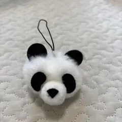 パンダ　チャーム