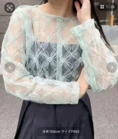 mline レースシアーブラウス