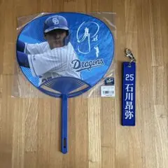 Item thumbnail for item 56161a31-a729-4430-aefe-3c68962925cd