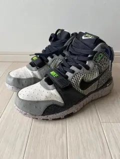 mita Nike ミタスニーカーズ Dunk High 森羅万象