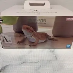 一番くじ 爬虫類＆両生類 A賞 フトアゴヒゲトカゲ フィギュア