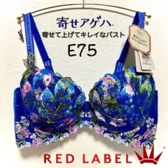 E75トリンプ プレミアム レッドレーベル 寄せアゲハ0092 ブラ単品 Bl