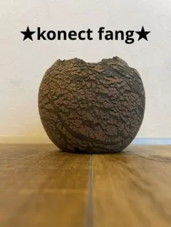 konect fang xs ✳︎上部に割れ接着あり konect fang xs ✳︎上部に割れ接着あり - メルカリ