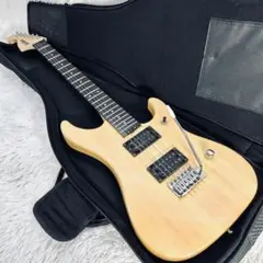 Washburn n1 mod リビルド品 Washburn n1 mod リビルド品 - メルカリ