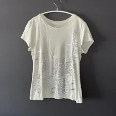 新品タグなし　アルマーニ　Tシャツ半袖　M