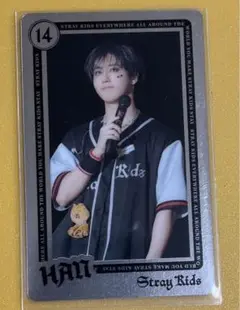 Stray Kids　dominATE　公式　ライブフォトカード　ハン