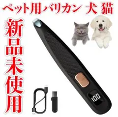 Item thumbnail for item b60870f1-82bf-4223-adb1-636fef71c9aa