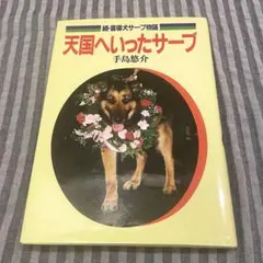 天国へいったサーブ 続・盲導犬サーブ物語 手島悠介 講談社　カバー付き　絶版希少 天国へいったサーブ 続・盲導犬サーブ物語 手島悠介 講談社