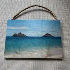 SoHa Living カイルアの景色の壁掛け