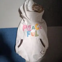 Item thumbnail for item c690675c-957d-450f-be8b-8031b0a431b6