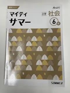 マイティサマー 小学6年　社会　夏期