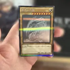 遊戯王　青眼の白龍　ホロパラ