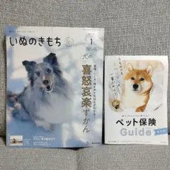 いぬのきもち 1月号