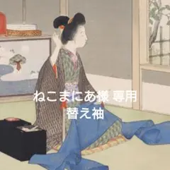 【ねこまにあ様 専用】替え袖