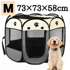 Item thumbnail for item 9a00a007-57bd-452c-b019-9baf528c7171