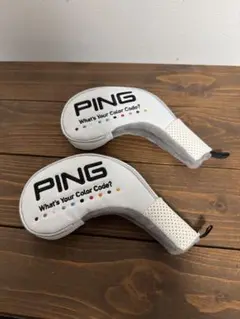 Item thumbnail for item 7e776efe-f903-42a5-8bd1-23596a2393e8