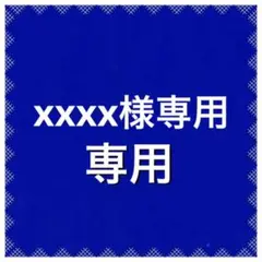 dries van noten ドリスヴァンノッテン ラクロワ ワンピース