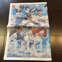 読売ジャイアンツ　巨人　青春　ジャイアンツ　新聞　一冊