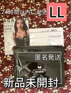 新品AGARISM×GYDA アップミースタイリングブラ LLサイズ E5