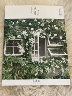 ようこそ、バラの咲くカフェへ
