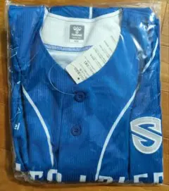 Item thumbnail for item 9c092426-9853-4efe-85f0-e60caf81725b