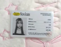 NewJeans ヘリン IDカード bluebook トレカ 証明写真